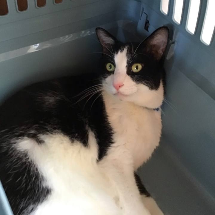 1c5e19a5 5ed4 4859 bcfe 0095444f499b 1756715616286