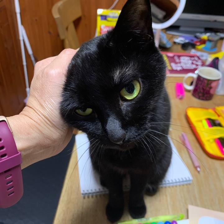 1c5e45f0 be2e 4094 8605 a698f90f316e 1621373252466