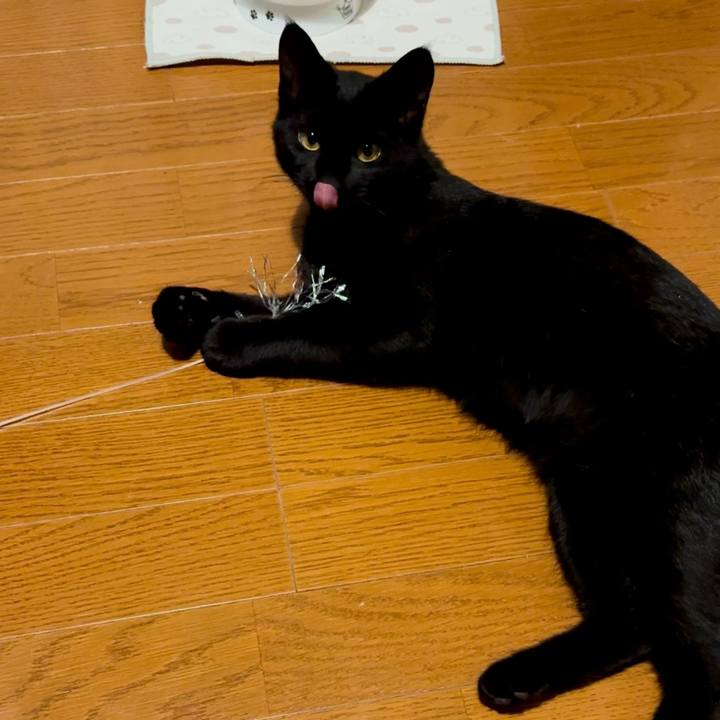 1c5e4946 a950 4547 97ea cb3098c6b181 1731542540960