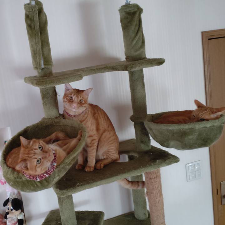 1c5e4972 84cf 4f01 b9a1 7e563cd73a7f 1724815136266