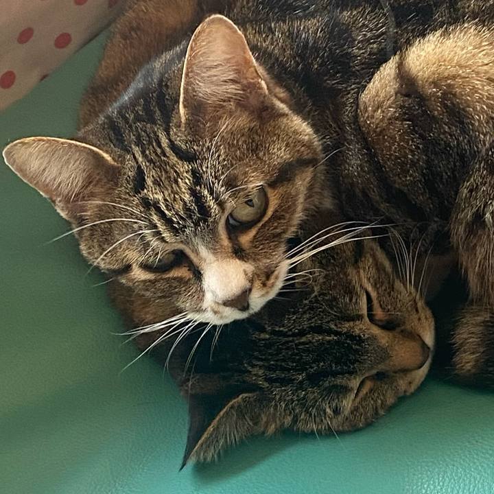 1c5e8676 e206 43fe 96d3 23392583d55b 1649396340316