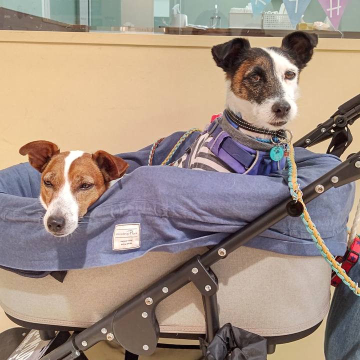 1c5e8b98 38d9 485f 87ff 5650f028add2 1688907036686