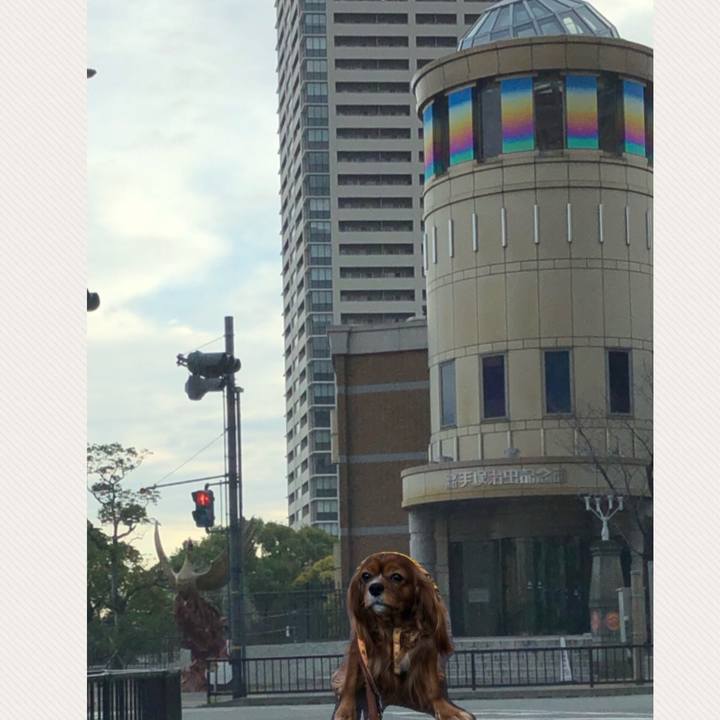 1c5e9bef ece5 466b 8d90 44b41c821235 1606476036543