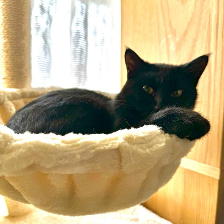 1c5ef60e e3f3 401d b8b0 75e033fc66d7 1731634230208