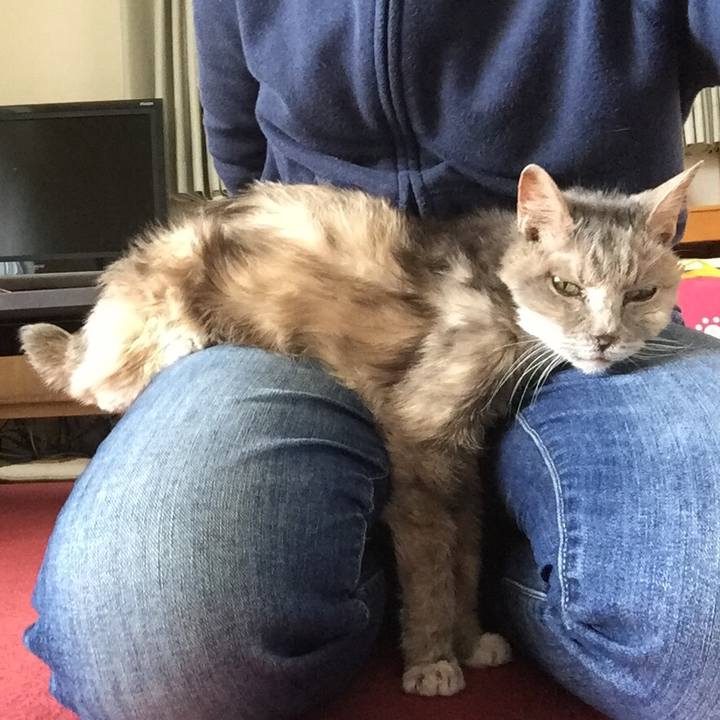 1c5f33d9 aa41 4d3c 972c 0c4f7f3b9fab 1522465063343