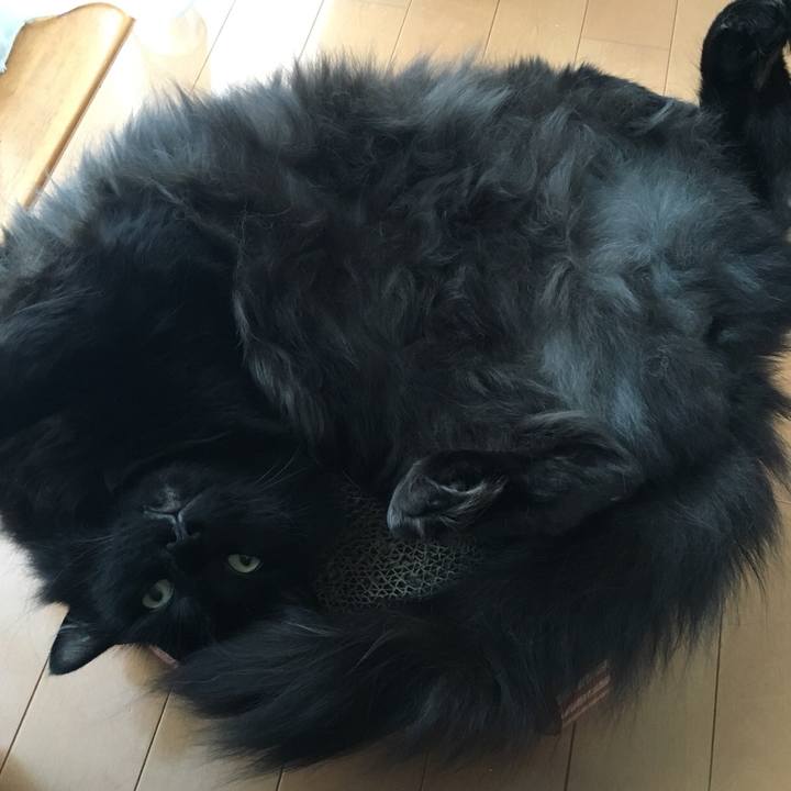 1c5f43e1 e499 44bd a424 7e48a38eb58b 1531130932311