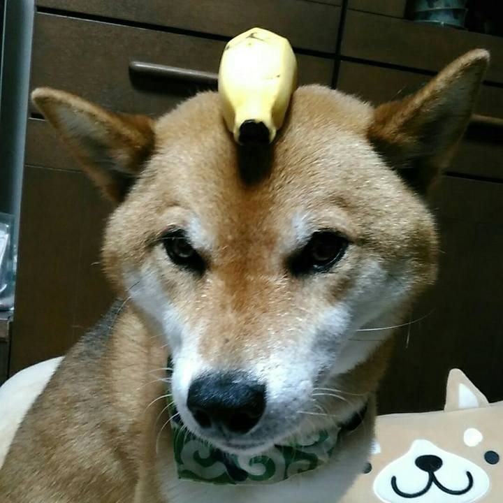 1c5fb0d0 1ecc 463c af24 2609035b4d9c 1562158063766