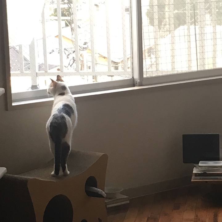 1c5fe776 1f2c 469a b849 d8f368c94cbb 1532423440184