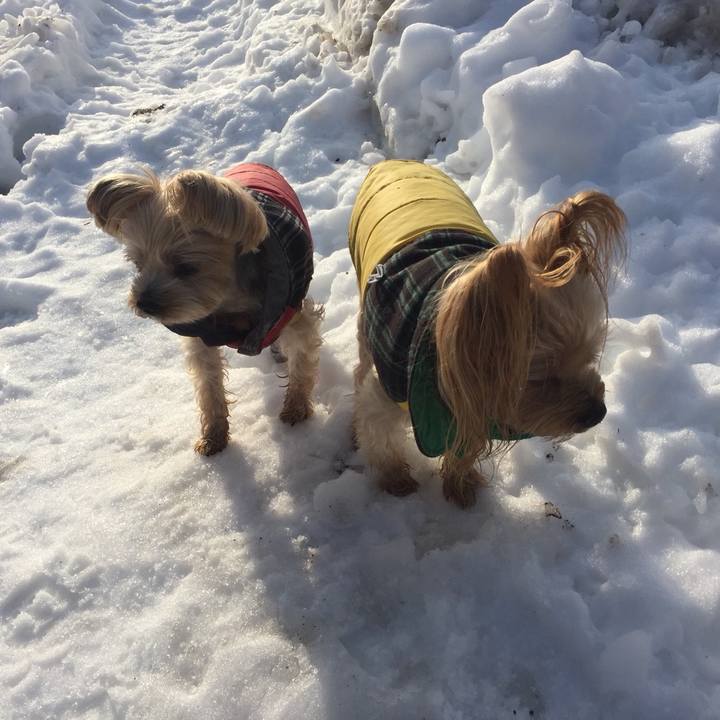 1c60494a a379 4cec 82cf 974b117f5571 1543219363820