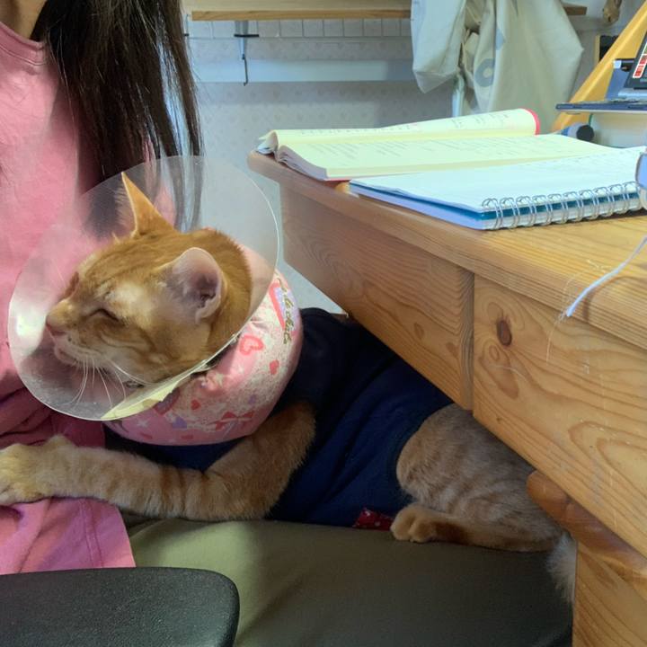 1c6065ad 19db 4351 b274 9b0f626453e9 1620538612881