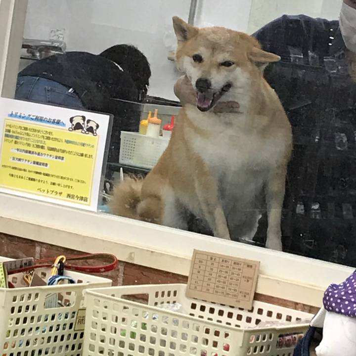 1c606c19 2bff 4be9 8fb5 d865cd59b4ba 1509799870030