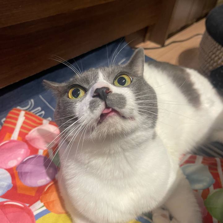 1c607e5f e4cc 4517 ad67 1fd5908cd012 1698279026142