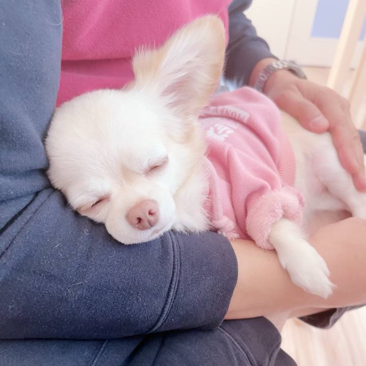 1c60a7a3 3fdc 4c22 b452 8edb6a81da13 1697936592747