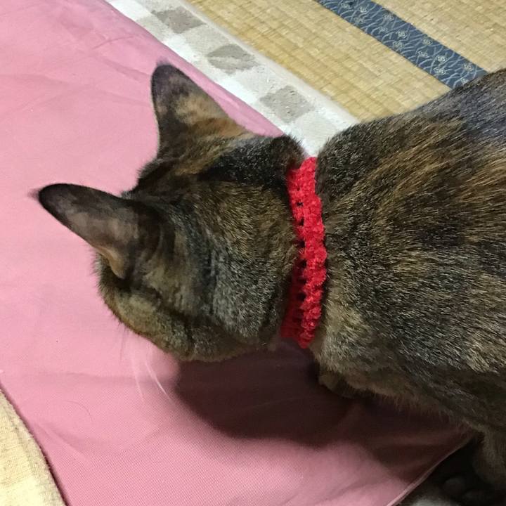 1c60c21a f149 43a7 8600 27101822499b 1670760151849