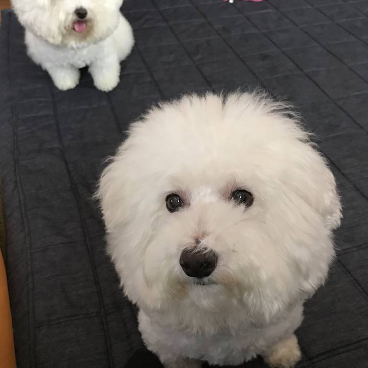 1c60d48e c5c7 421a aab1 5687ad022b19 1531119932866