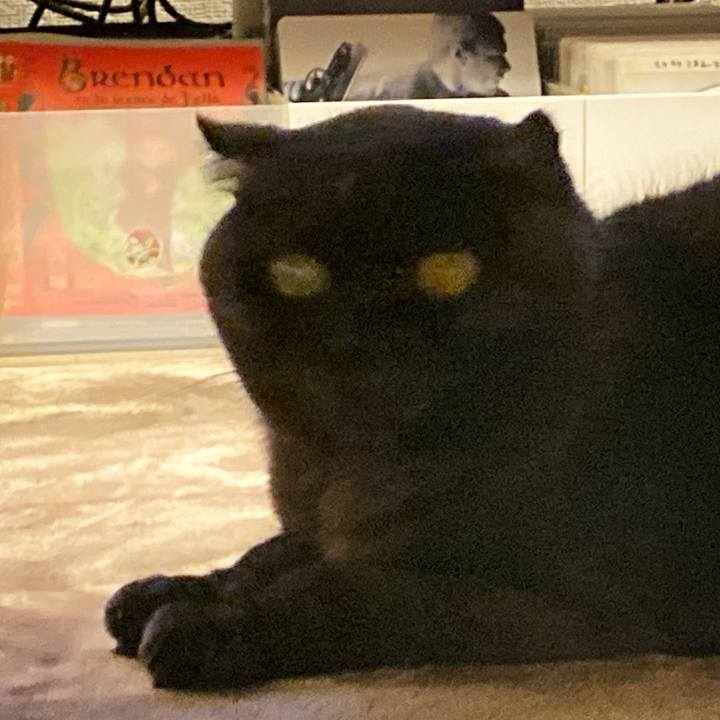 1c60d689 962f 418e bb81 eec00756a511 1603889533944