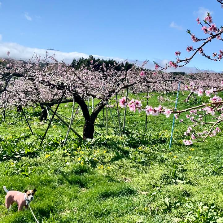 1c6107d1 bf52 494d bf8f d4e1c626ba10 1745494354624