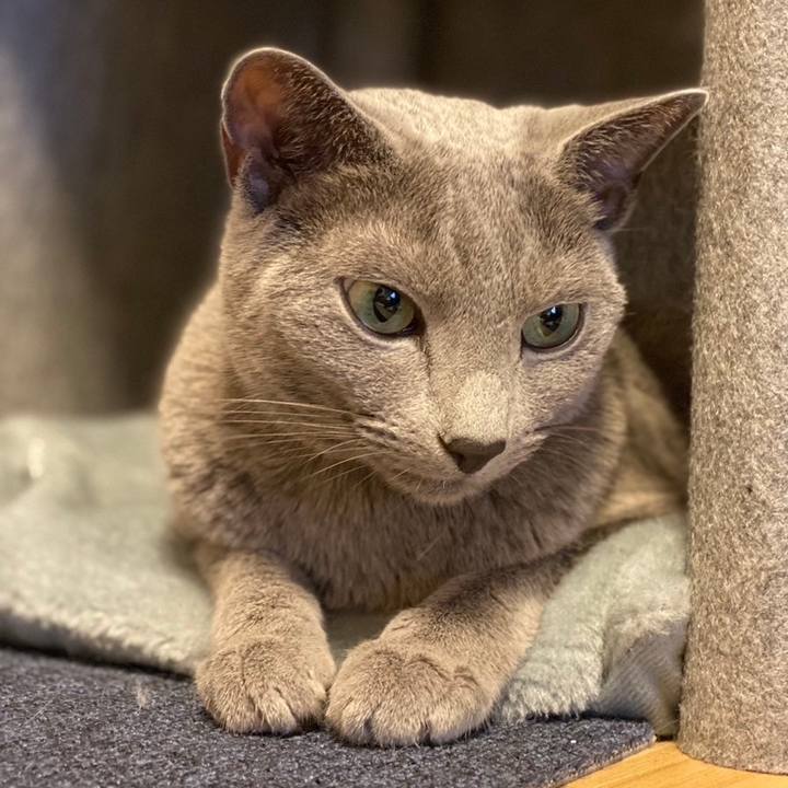 1c61219d d090 4082 9071 33e2e722d135 1699400160754