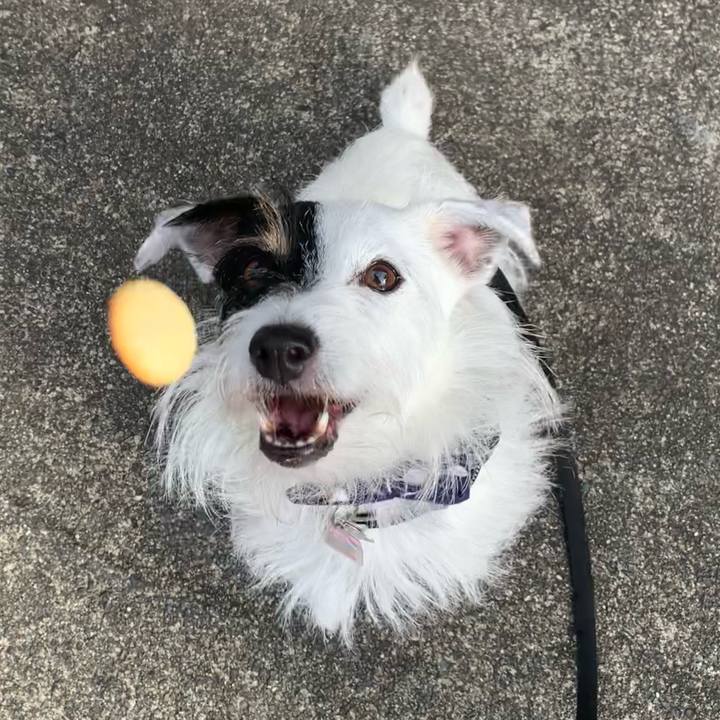 1c612243 1cc2 45b9 9c9d 7750f72d2874 1663282866778