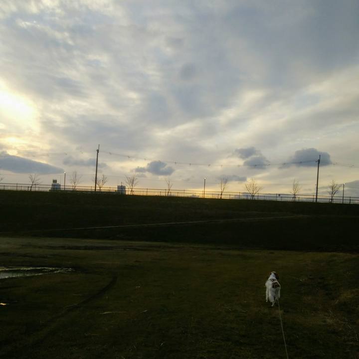 1c6145ae bea2 49cb 95e0 5bb98b590933 1549800206846