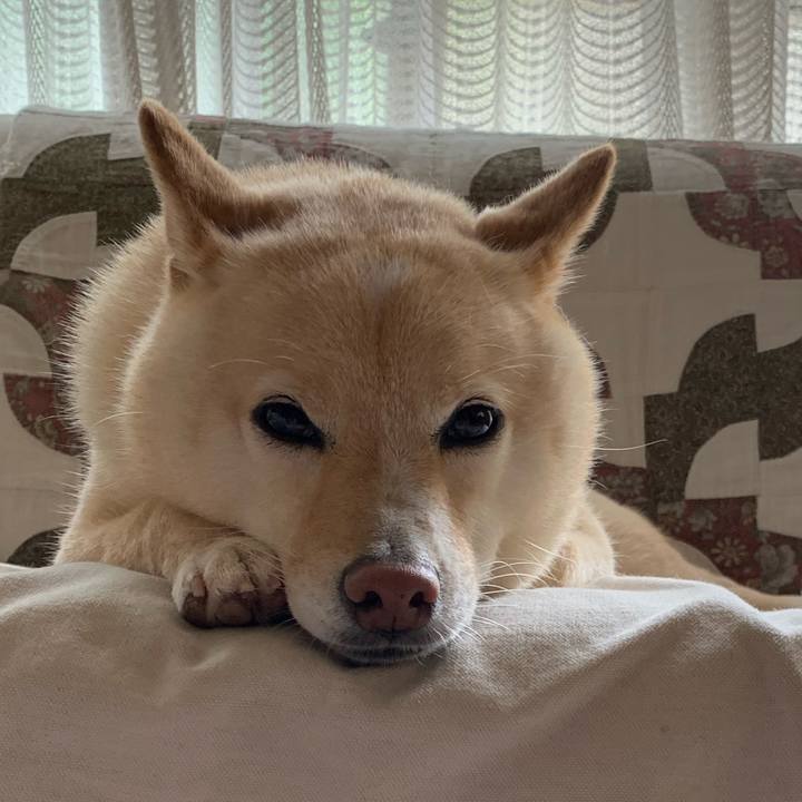 1c622528 a442 4732 8b16 9bed66aee7b3 1625794253690