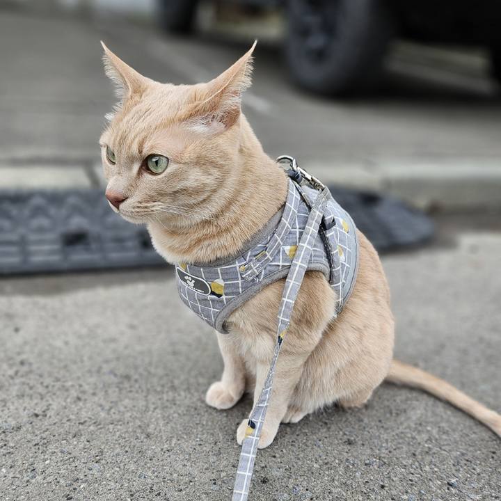 1c624a75 f804 4e8c 8111 aadad2894338 1745044523989