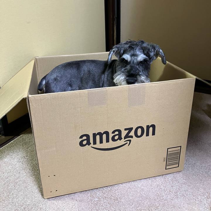 1c624f92 f89f 4e27 b93a a7dd78d8ba5f 1729998987675