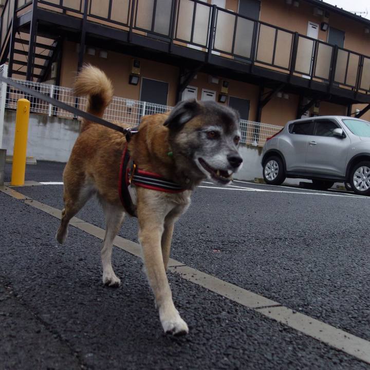 1c626841 a9fb 462b a75b 0d6722a6beb9 1512089866631