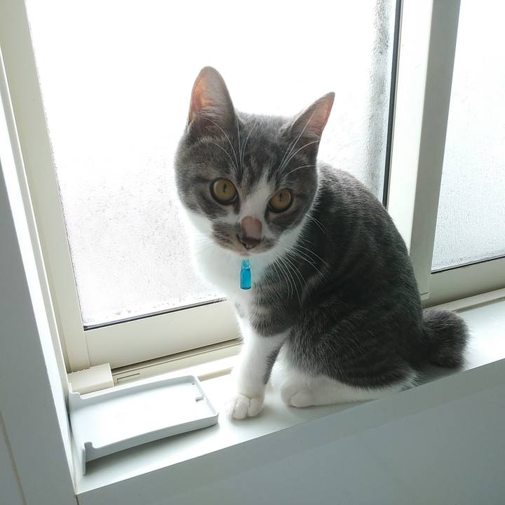 1c6293de e21f 4467 9ff6 d16eb402211c 1572479754906