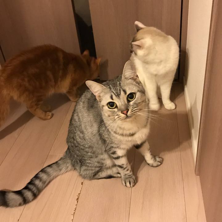 1c629a76 3e61 478e a6be 3b13fc5f6535 1508922528924