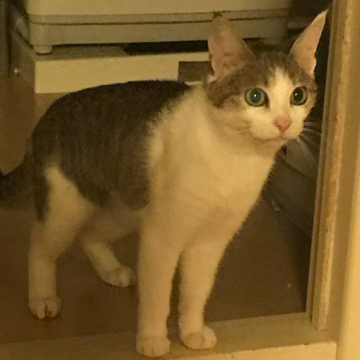 1c62a697 8b24 4c9b 9fd5 f1ecabf3ae0f 1624965290371