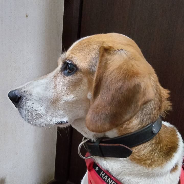 1c62c37b 7482 4d2c 9573 7b33b1e223d9 1722766746705