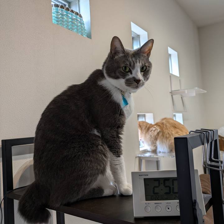 1c62e391 3728 4314 8002 8d3c566efe21 1729591716486