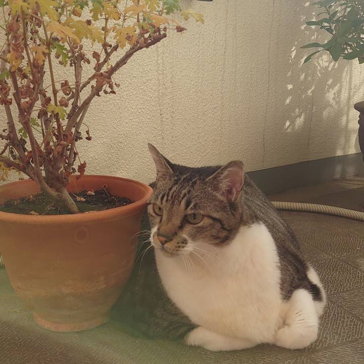 1c631d0b 2bd3 4a84 afd0 933ee8a01fd8 1670724951592