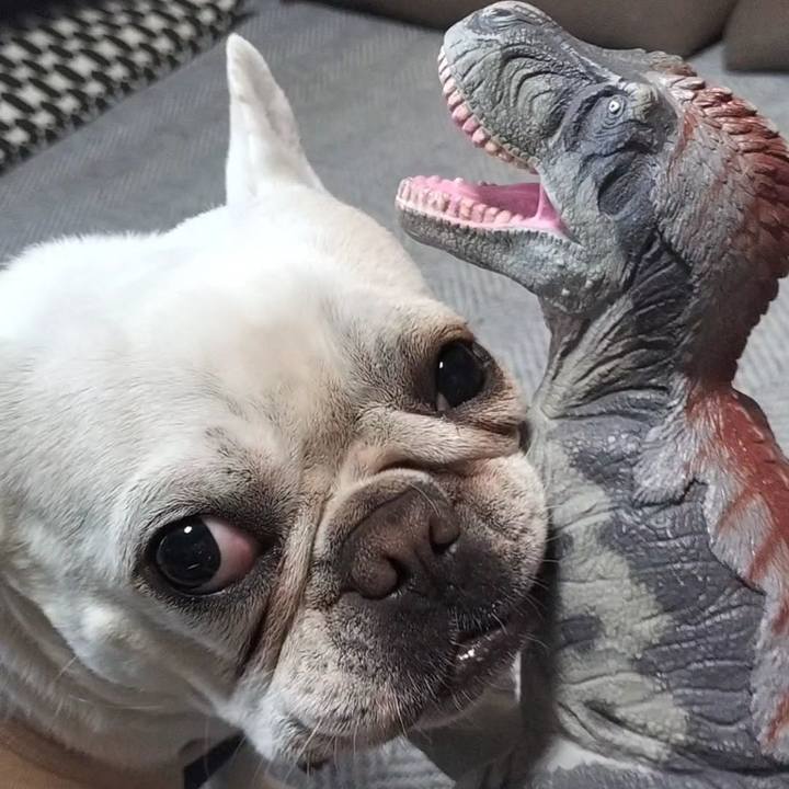 1c635370 8b0c 4957 8295 0c425035b0e2 1706342783588