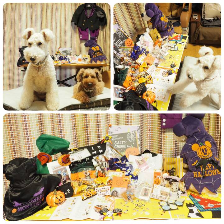 1c637f35 a10b 482b b708 d70cf8a518c1 1539359927645