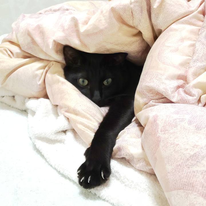 1c63a5a4 d144 478b b945 1077c2f28a5d 1745726251340