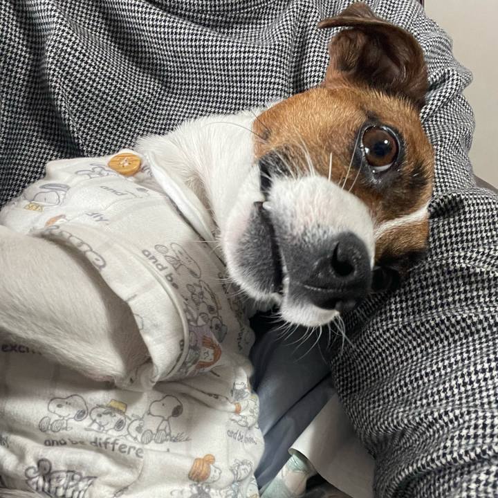 1c63afb6 5aca 41cd 9802 b5e23ffbc665 1675872099022