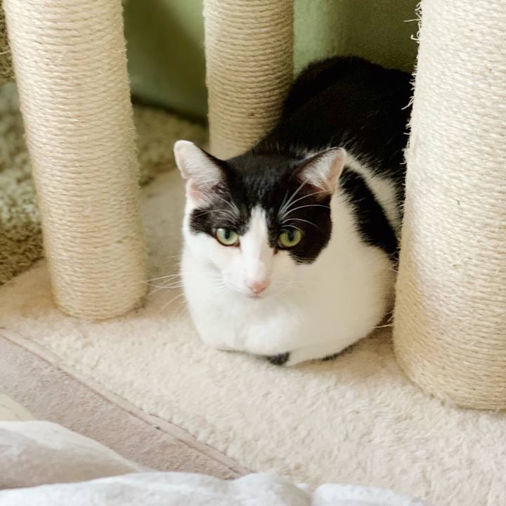 1c63d392 775f 4caa 91b9 a221bdc67a69 1540688244049