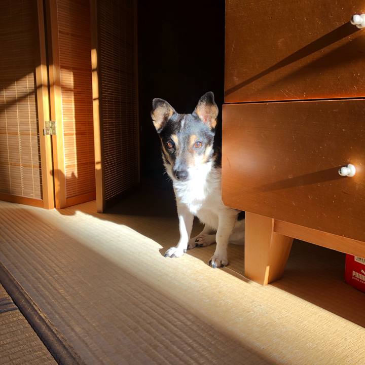 1c63d690 d146 4b38 aad0 e1b59d3a6346 1581467489236