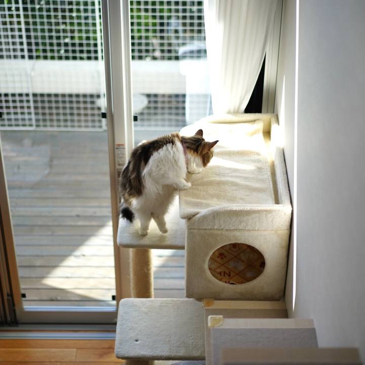 1c63db9e 1921 4c61 b6f8 8a5c74492090 1675137148416