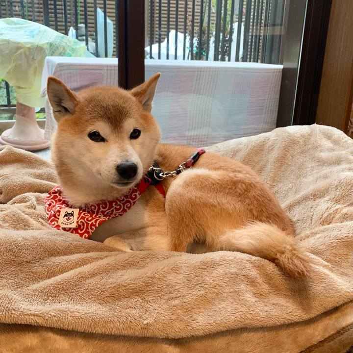 1c63f836 bdd5 4722 8de4 f91da6c6de6f 1643454352475