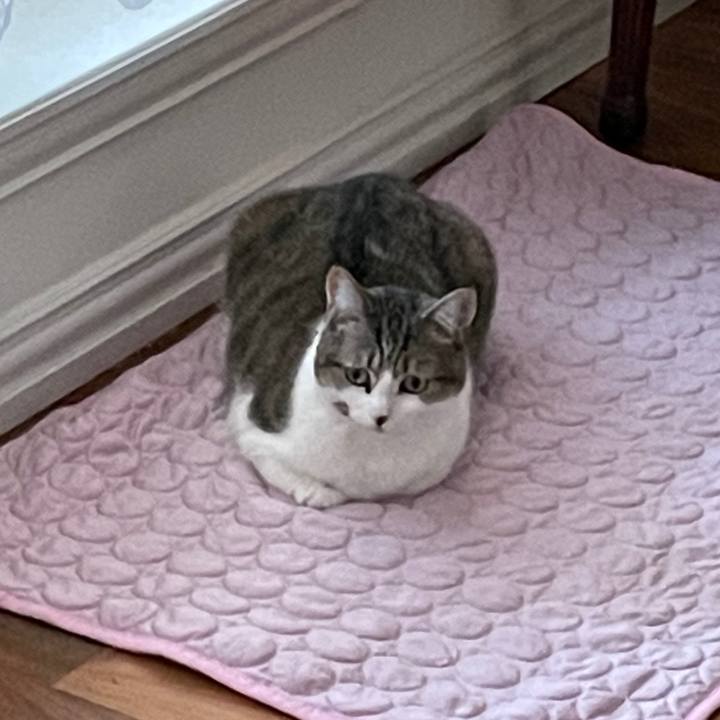 1c6443f5 4a38 40ae 8261 c555b8649fa8 1695432615381