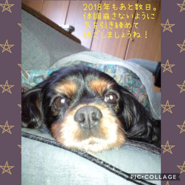 1c648825 b0b8 48b9 83ab be3b6231b2de 1545811804196