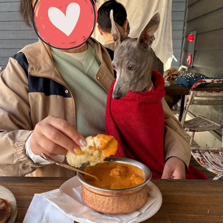 1c64dfa8 d05d 4135 9503 972724da9d87 1776853902782