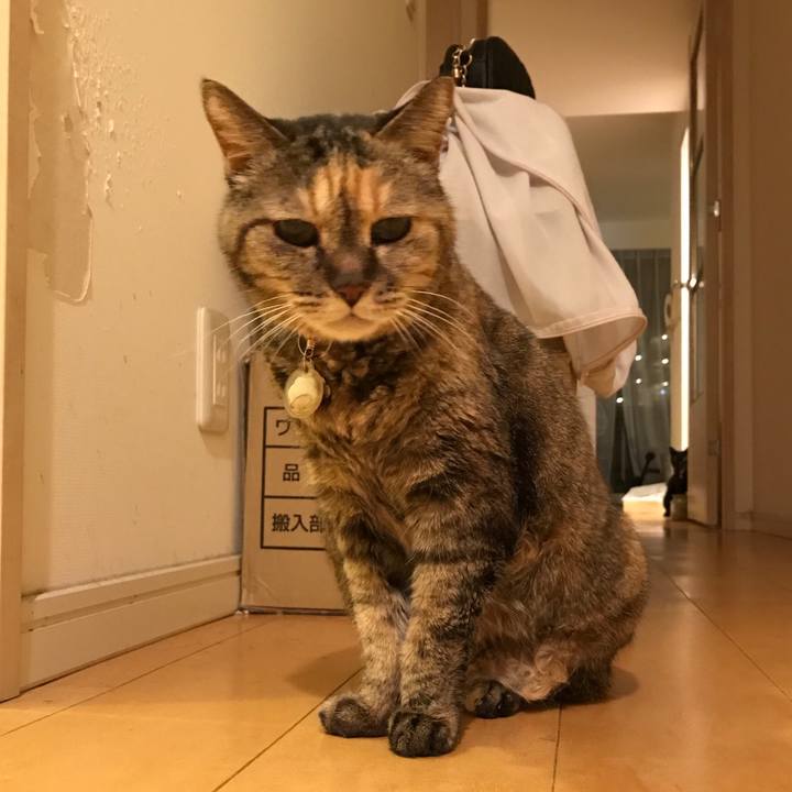 1c64ee25 f0db 494e 8ec1 fd9524789371 1516678097450