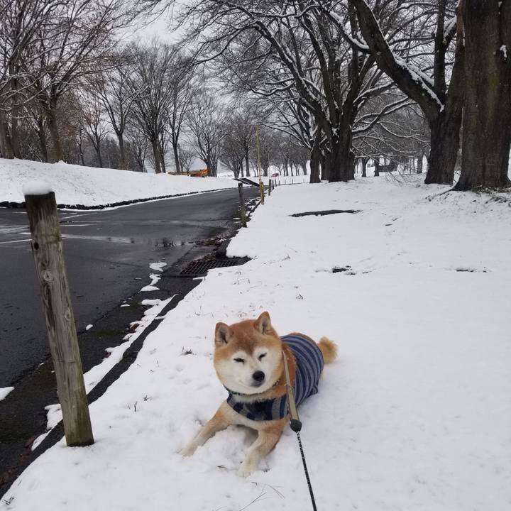 1c64f4b9 1266 457e 8803 4a3c4e572d5f 1703217332760