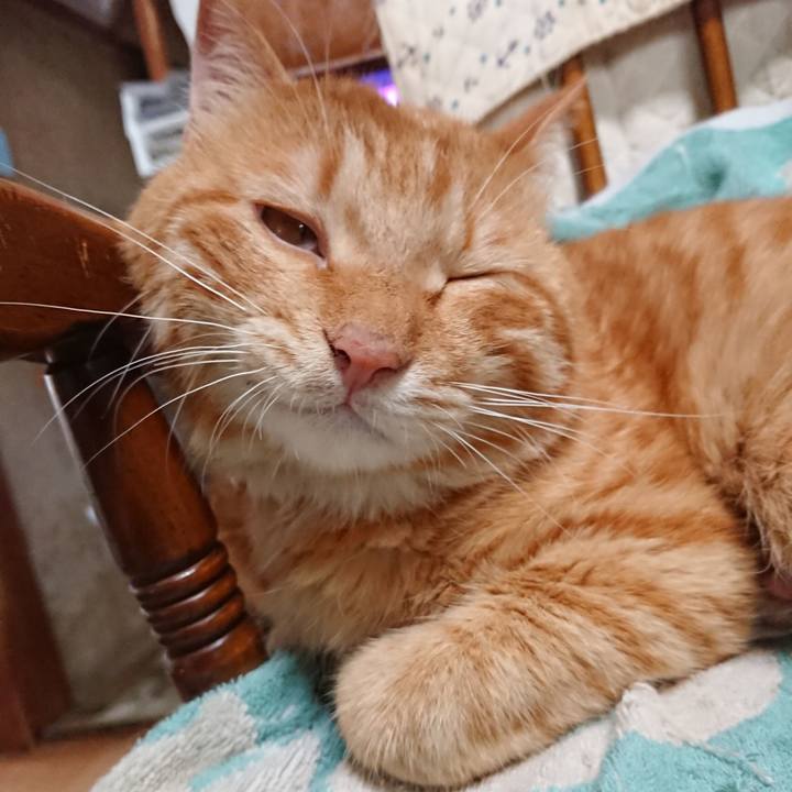 1c65181c c539 4f37 aebf 053518901f1f 1658622752141