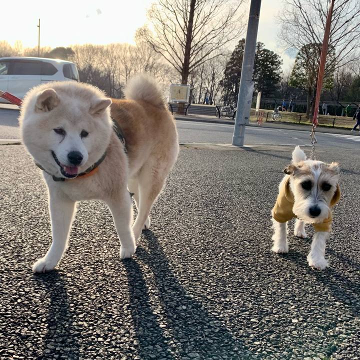 1c653350 716d 4840 872e 6f5b319cb397 1647853217079