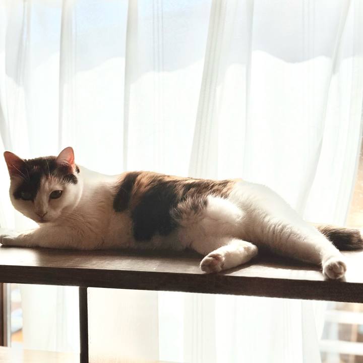 1c65565b f8df 45f9 b27b 01c073dd050b 1742956041875